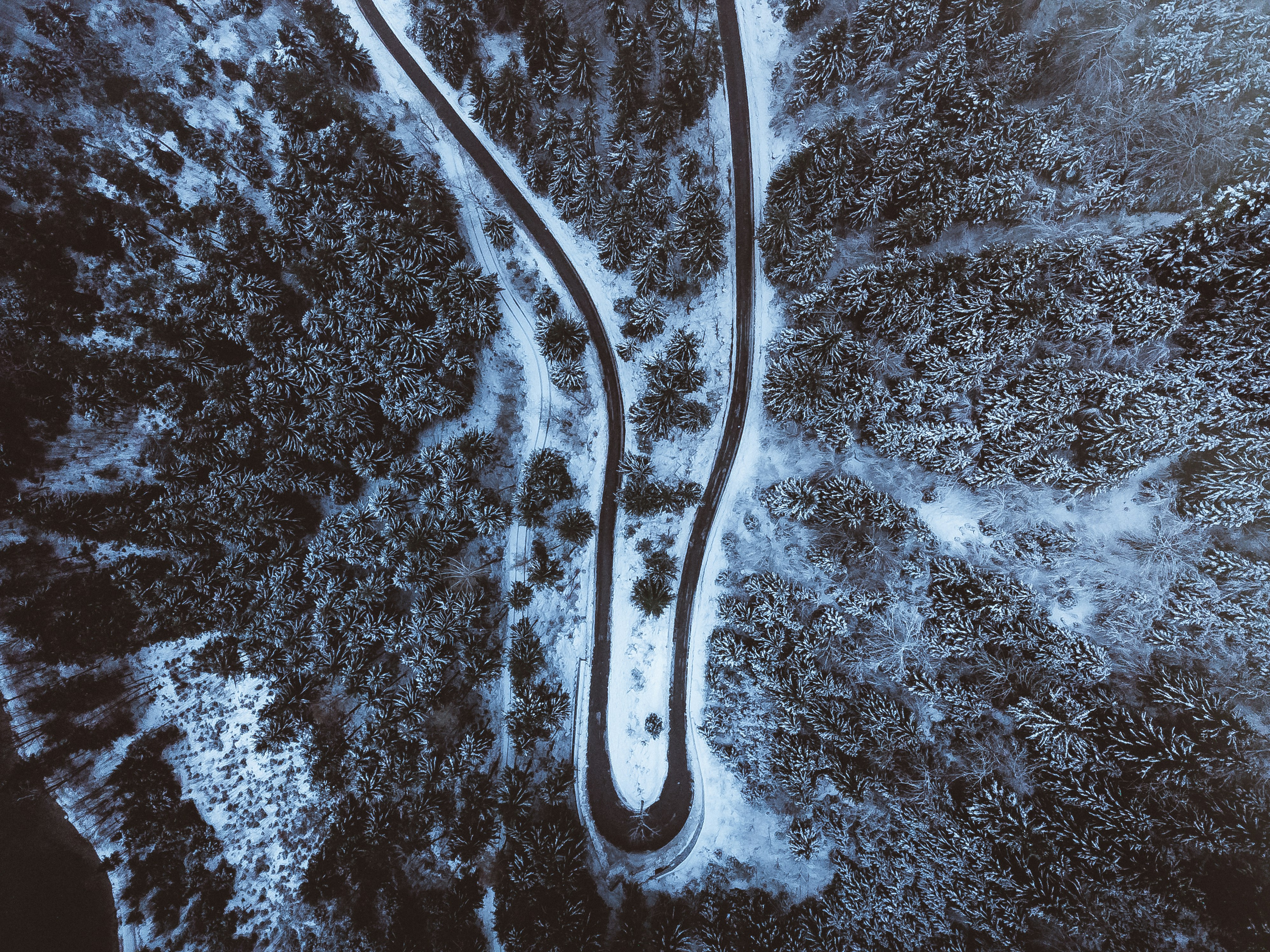 bird's-eye view of snow covered road